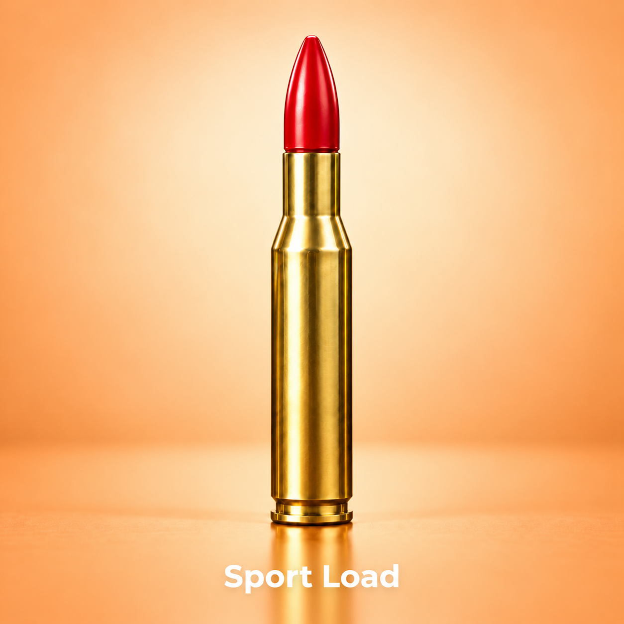 Sport Load